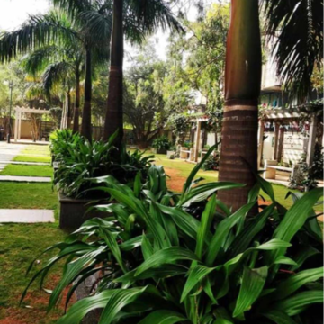 2 BHK Apartment – Garden View at NCC Nagarjuna Meadows, Anantapuram - for Rent