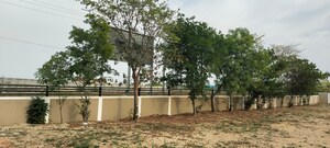 Plot Area in  Plot at Panjappur – for Sale