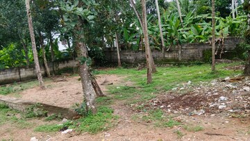  Plot For Sale in Kariyam