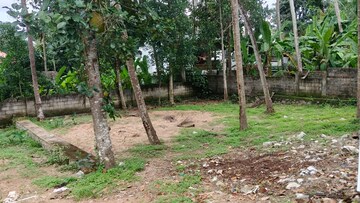 Plot Area in  Plot at Kariyam – for Sale