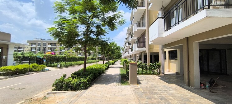 Exterior View, vatika-xpressions 3 Bedroom 1700 Sq.Ft. Apartment In Sector 88b Gurgaon 8907942