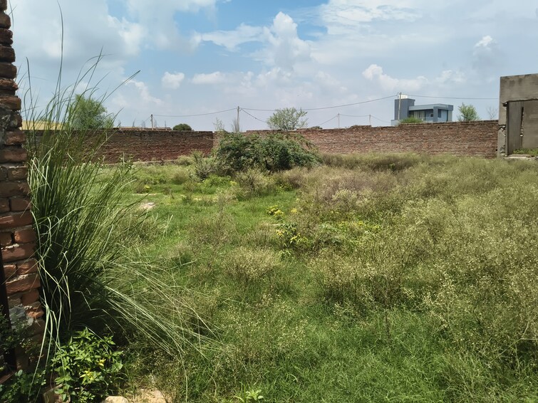 Cover Image, jagatpura  636 Sq.Yd. Plot In Jagatpura Jaipur 8908354