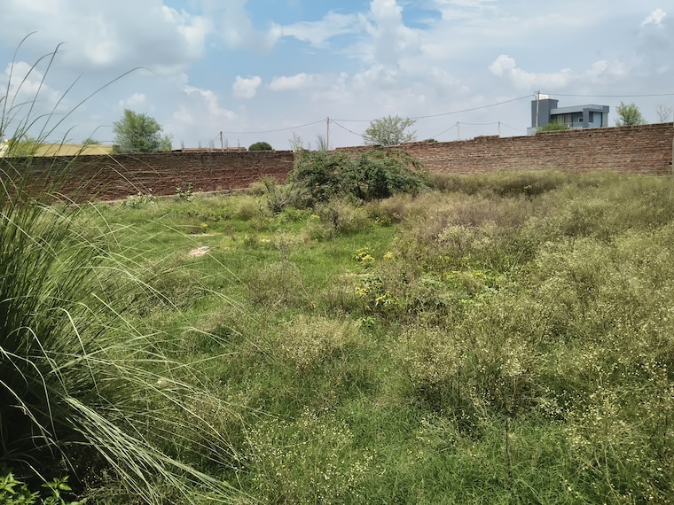 undefined, jagatpura  636 Sq.Yd. Plot In Jagatpura Jaipur 8908354