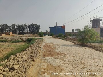  Plot For Sale in Maina