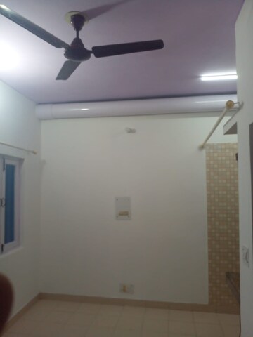 1 BHK Apartment For Rent in Vasant Kunj