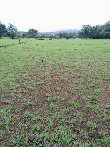 Plot Area in  Land at Mandangad – for Sale