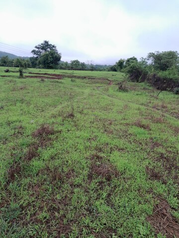 Plot Area in  Land at Mandangad – for Sale