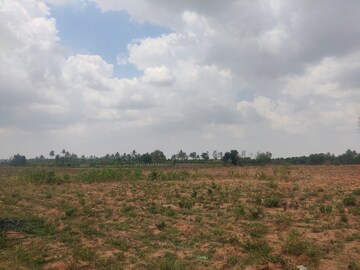  Plot For Sale in Jangamakote