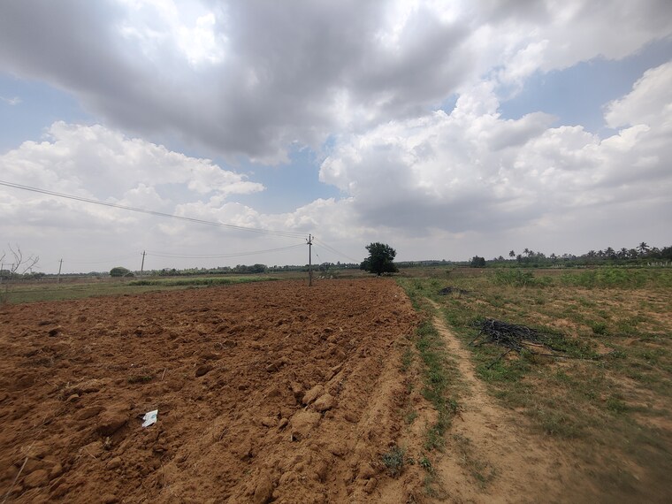 undefined, jangamakote  15 Acre Plot In Jangamakote Bangalore 8908979