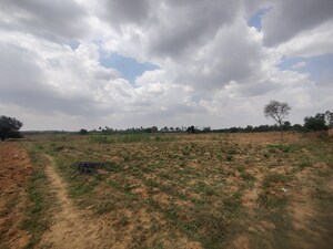 Plot Area in  Plot at Jangamakote – for Sale