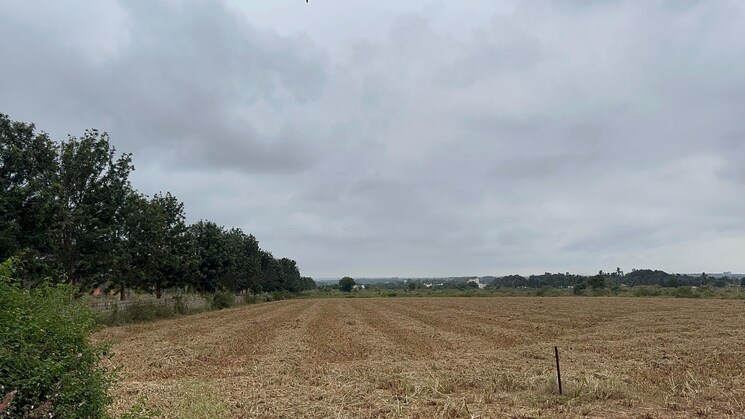 undefined, devanahalli  25 Acre Plot In Devanahalli Bangalore 8909004