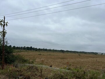 Plot Area in  Plot at Devanahalli – for Sale