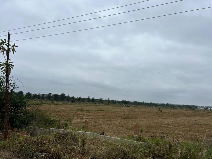 undefined, devanahalli  25 Acre Plot In Devanahalli Bangalore 8909004