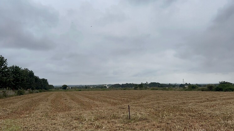 undefined, devanahalli  25 Acre Plot In Devanahalli Bangalore 8909004