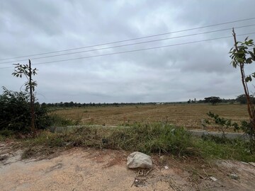 Plot Area in  Plot at Devanahalli – for Sale