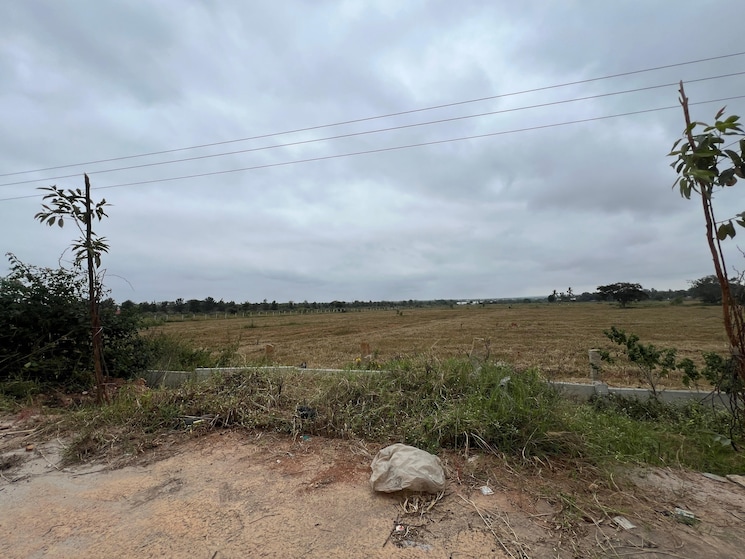 undefined, devanahalli  25 Acre Plot In Devanahalli Bangalore 8909004