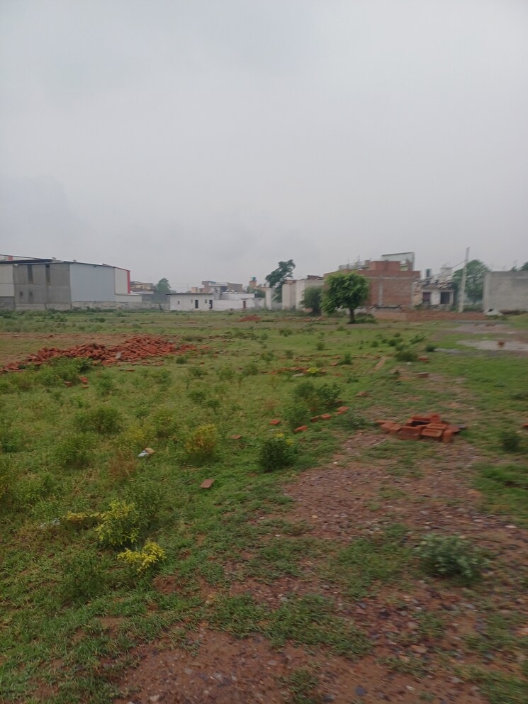Garden, jajru  67 Sq.Yd. Plot In Jajru Faridabad 8909153