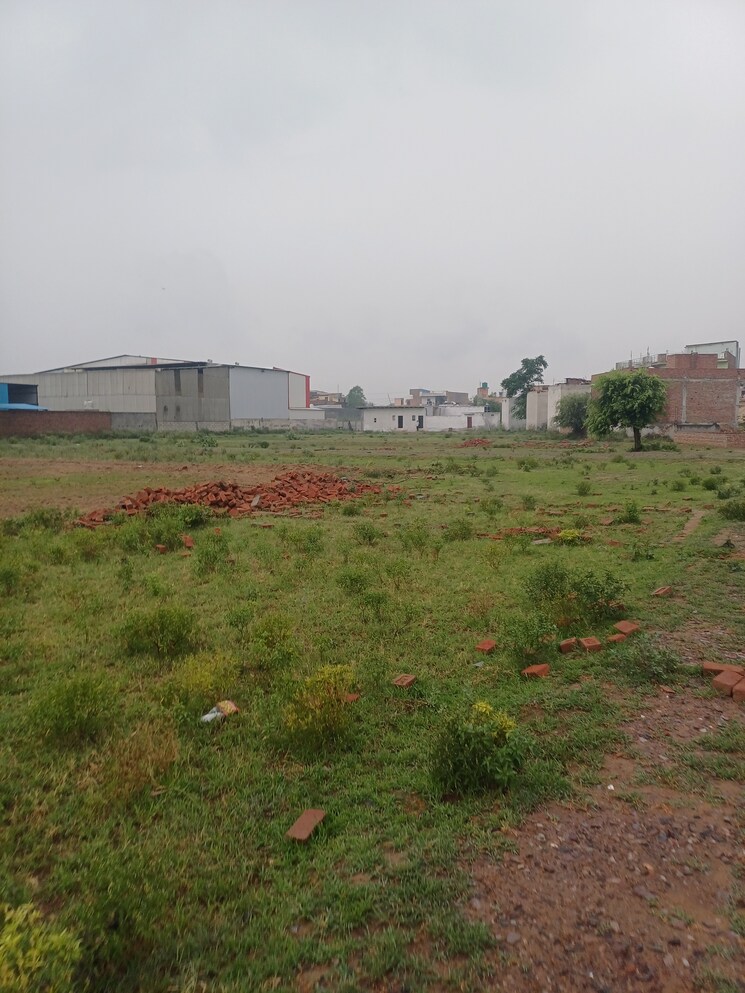 Garden, jajru  67 Sq.Yd. Plot In Jajru Faridabad 8909153
