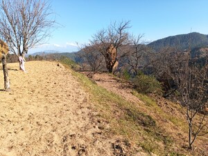  Land For Sale in Mukteshwar