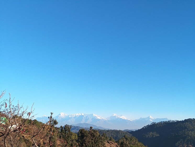 undefined, mukteshwar Commercial Land 10500 Sq.Ft. In Mukteshwar Nainital 8909187