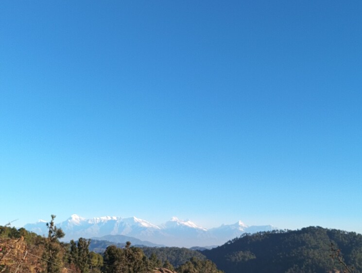 undefined, mukteshwar Commercial Land 10500 Sq.Ft. In Mukteshwar Nainital 8909187