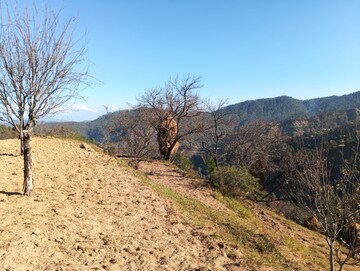 Plot Area in  Land at Mukteshwar – for Sale