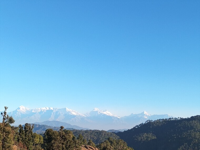 undefined, mukteshwar Commercial Land 10500 Sq.Ft. In Mukteshwar Nainital 8909187