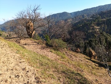 Plot Area in  Land at Mukteshwar – for Sale