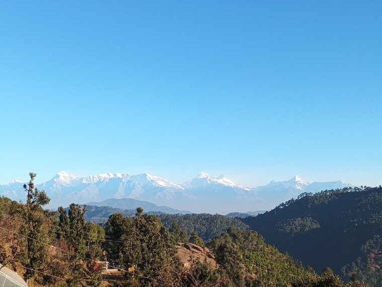 undefined, mukteshwar Commercial Land 10500 Sq.Ft. In Mukteshwar Nainital 8909187