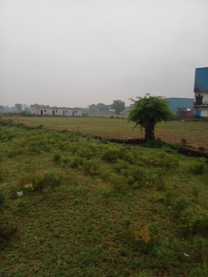  Plot – Garden View at Jajru - for Sale