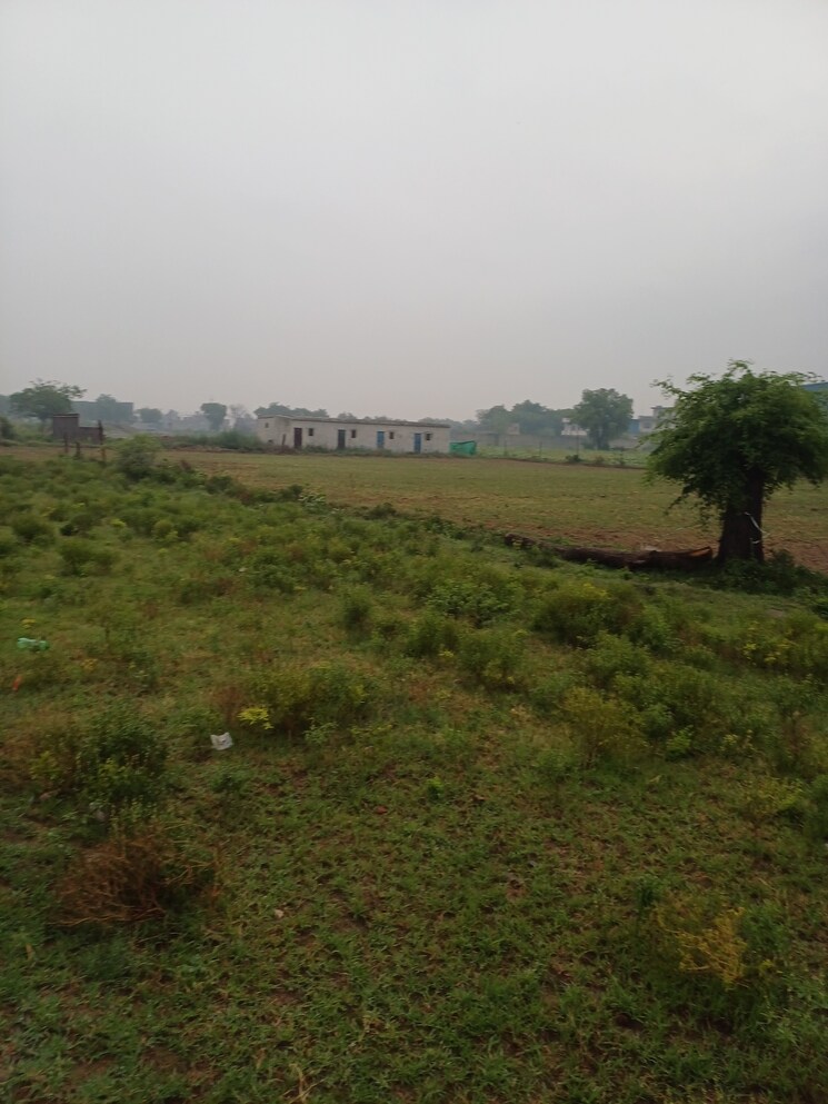 Garden, jajru  69 Sq.Yd. Plot In Jajru Faridabad 8909190