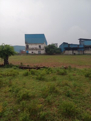  Plot For Sale in Jajru