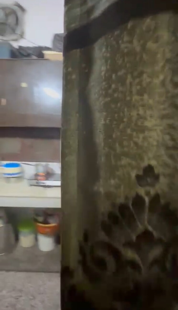 undefined, uma-cooperative-society 2.5 Bedroom 850 Sq.Ft. Apartment In Mayur Vihar 1 Delhi 8909196