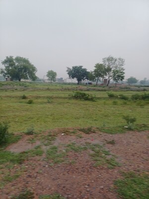  Plot For Sale in Jajru