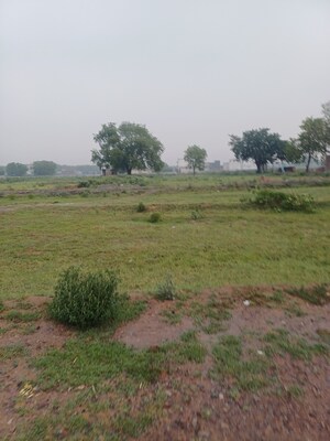  Plot For Sale in Jajru