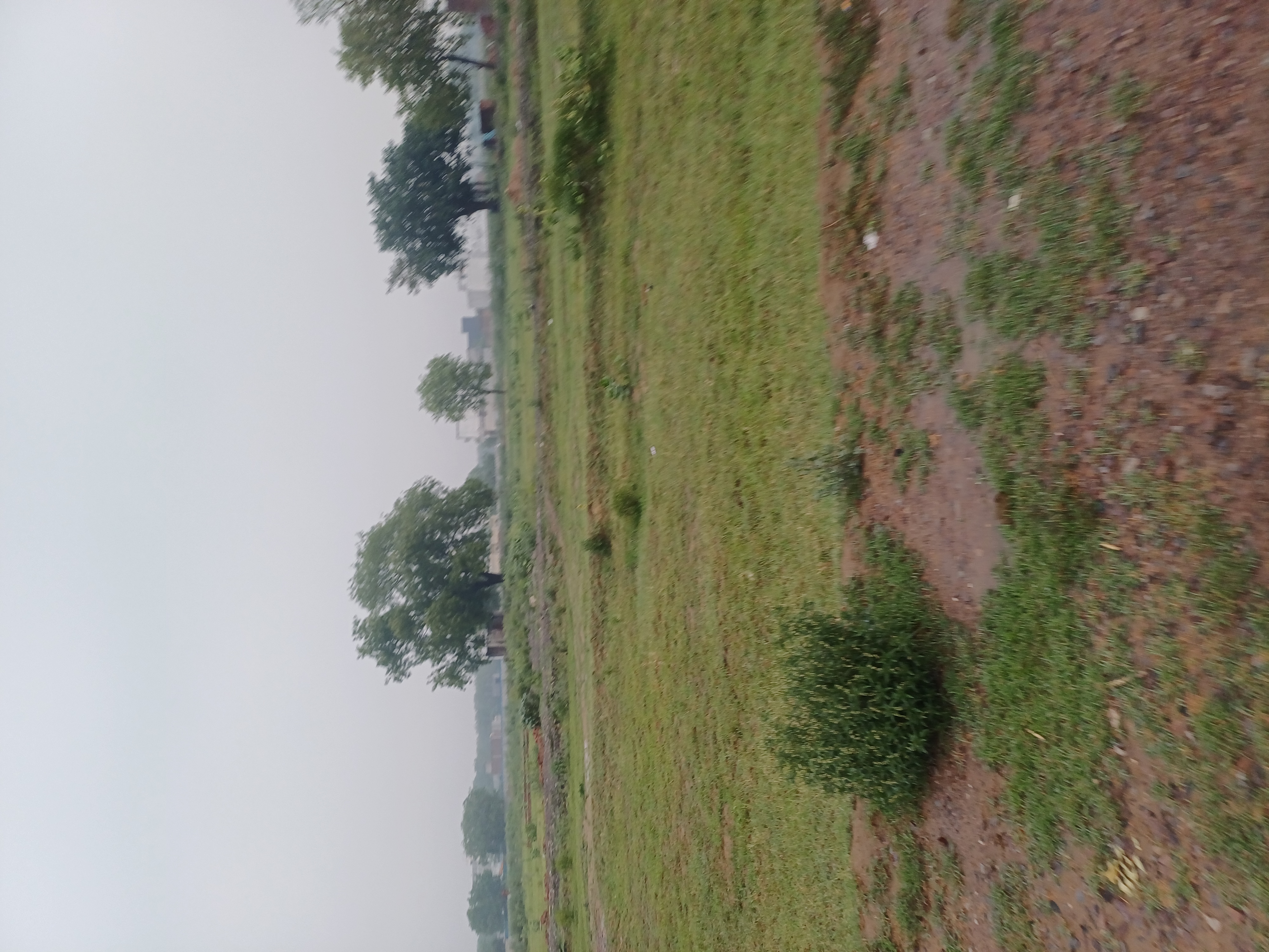 Plot For Sale in Jajru