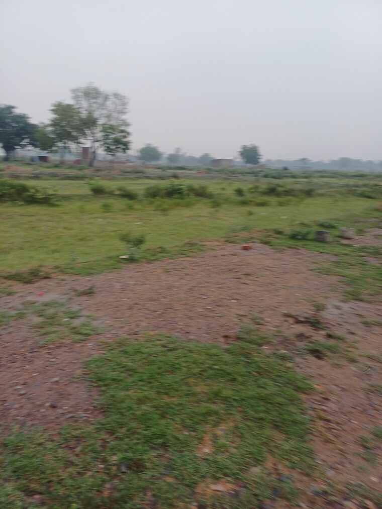Garden, jajru  73 Sq.Yd. Plot In Jajru Faridabad 8909201