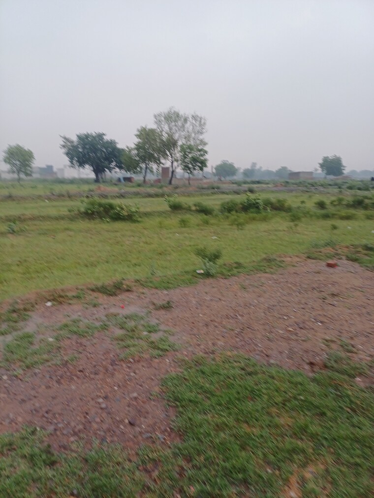Garden, jajru  73 Sq.Yd. Plot In Jajru Faridabad 8909201