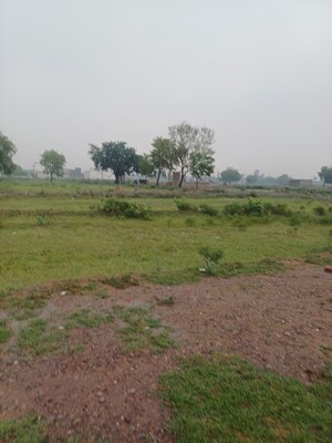  Plot – Garden View at Jajru - for Sale