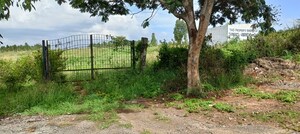  Plot For Sale in Devanahalli