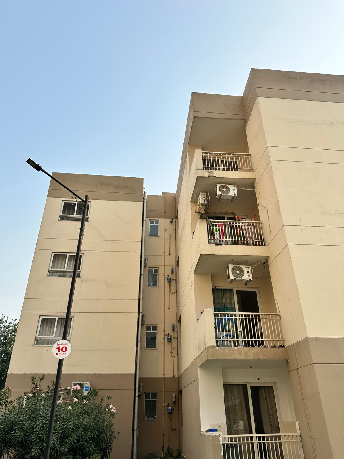 1 BHK + Pooja Room Apartment For Sale in Sushma Grande Nxt