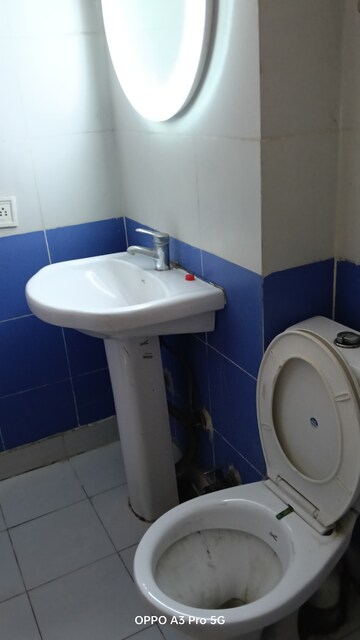 Bathroom in 4 BHK Apartment at Skytech Merion Residency 2, Sain Vihar – for Sale