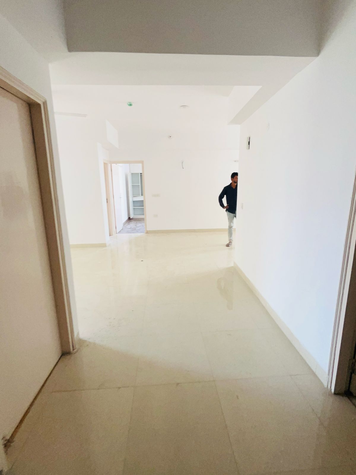 3 BHK + Servant Room,Study Room,Extra Room Apartment For Rent in SS The Coralwood