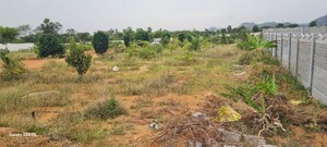  Plot For Sale in Shadnagar