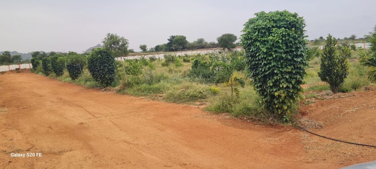 undefined, shadnagar  165 Sq.Yd. Plot In Shadnagar Hyderabad 8909710