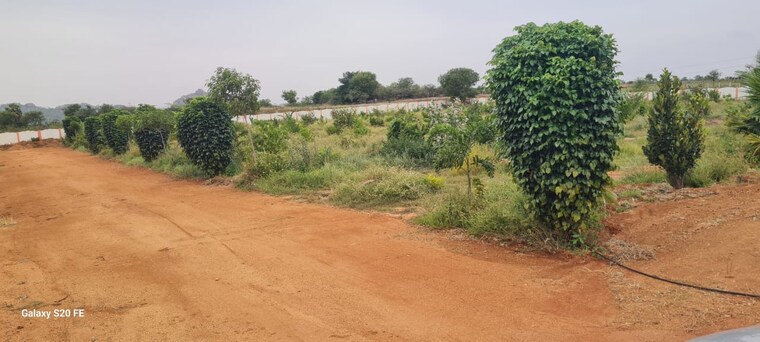 undefined, shadnagar  165 Sq.Yd. Plot In Shadnagar Hyderabad 8909710