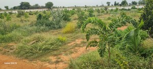  Plot – Garden View at Shadnagar - for Sale