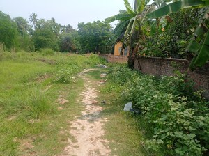  Plot – Garden View at Sonarpur - for Sale