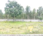 6 Acre Land in Jigani