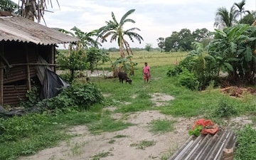 Plot For Sale in Sonarpur